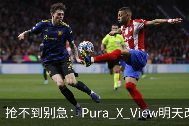 抢不到别急：Pura X View明天改“排队”，不用再卡点